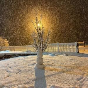 Meet your Posher, Marcelo